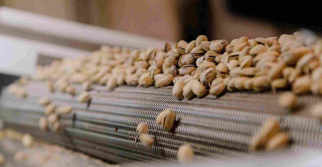 Soluciones con frutos secos para impulsar nuevos desarrollos de producto en la industria